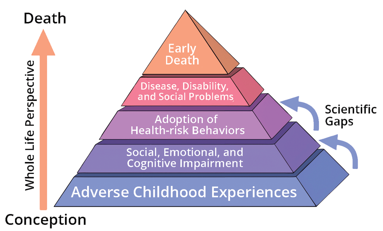 How ACES affect children and adults.