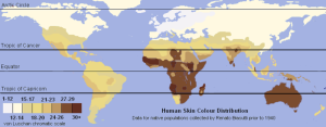 Unlabeled_Renatto_Luschan_Skin_color_map-300x117.png
