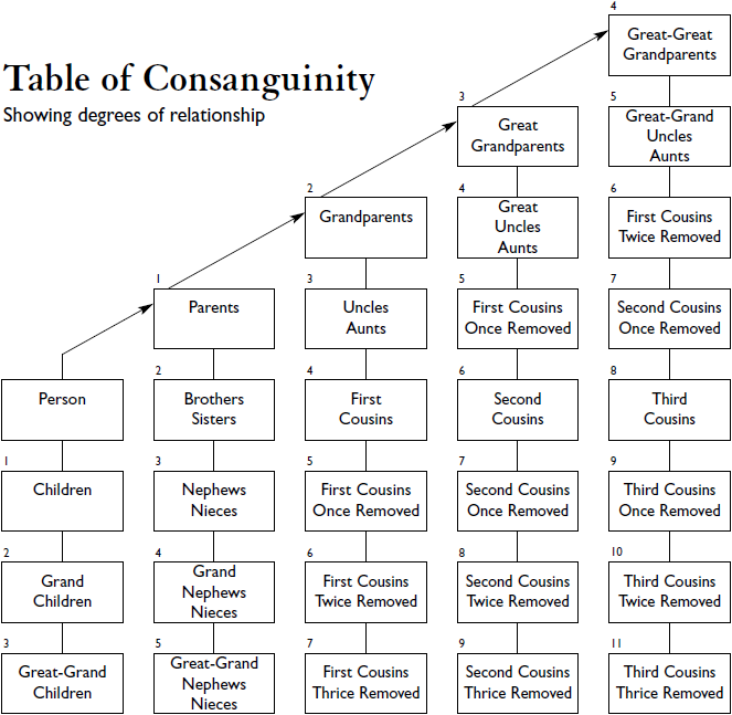 Anthropology Kinship Chart