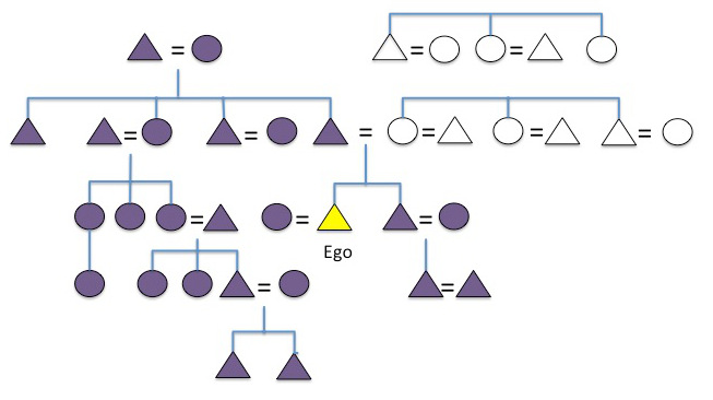 Kinship_symbols_patrilineal.jpg