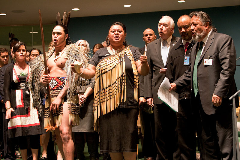 800px-NZ_delegation_UN_Forum_on_Indigenous_Issues.jpg