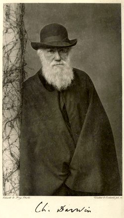 250px-Charles-Darwin-portrait-standing-photo-1881.png