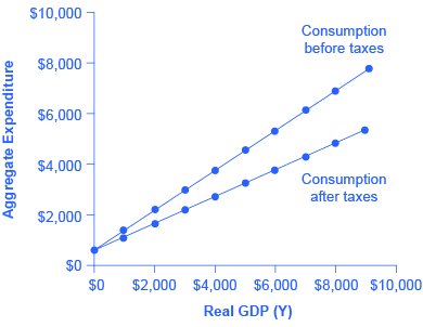 Le graphique montre deux lignes inclinées vers le haut. La ligne la plus raide est celle de la consommation avant taxes. La plus progressive des deux lignes est celle de la consommation après impôts.