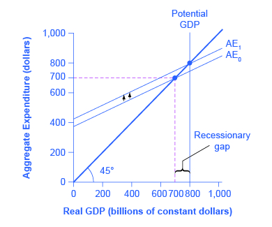 Le graphique montre l'effet multiplicateur dans le modèle dépenses-sorties : une augmentation des dépenses entraîne une augmentation plus importante de la production d'équilibre.