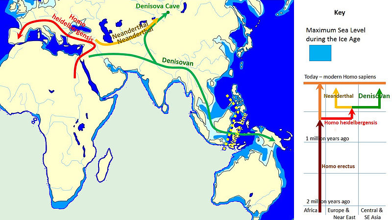 A map shows spread and evolution of Denisovans, and to the right a diagram shows evolution of Denisovans.  See text.