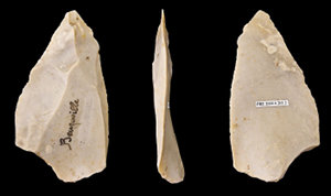 Stone tools which appear to be finely worked to sharpened edge.