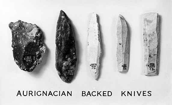 Aurignacian Backed Knives in various knife-like shapes which appear as stones with sharpened edges.