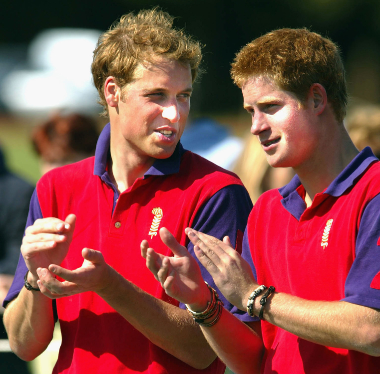 Se muestra a los príncipes William y Harry del Reino Unido platicando mientras aplauden y visten polos de colores brillantes.