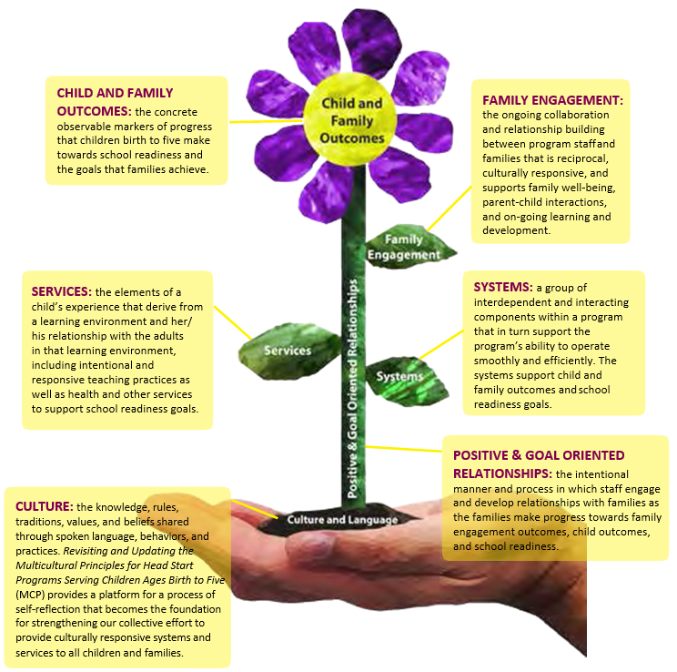 A graphic showing a hand holding a plant. The soil the plant is growing in is in the palm of the hand. 

The soil is labeled as Culture and Language. The stem is labeled as Positive & Goal Oriented Relationships. The leaves are labeled as Services, Systems, and Family Engagement. The flower is purple with a yellow center. It is labeled as Child and Family Outcomes.

There are six yellow boxes pointing to each element of the plant. They read as follows: 

CHILD AND FAMILY
OUTCOMES: the concrete observable markers of progress that children birth to five make towards school readiness and the goals that families achieve.

SERVICES: the elements of a child’s experience that derive from a learning environment and her/ his relationship with the adults
in that learning environment, including intentional and responsive teaching practices as well as health and other services to support school readiness goals.

CULTURE: the knowledge, rules, traditions, values, and beliefs shared through spoken language, behaviors, and practices. Revisiting and Updating the Multicultural Principles for Head Start Programs Serving Children Ages Birth to Five (MCP) provides a platform for a process of self-reflection that becomes the foundation for strengthening our collective effort to provide culturally responsive systems and services to all children and families.

FAMILY ENGAGEMENT:
the ongoing collaboration and relationship building between program staff and families that is reciprocal, culturally responsive, and supports family well-being, parent-child interactions, and on-going learning and development.

SYSTEMS: a group of interdependent and interacting components within a program that in turn support the program’s ability to operate smoothly and efficiently. The systems support child and family outcomes and school readiness goals.

POSITIVE & GOAL ORIENTED
RELATIONSHIPS: the intentional manner and process in which staff engage and develop relationships with families as the families make progress towards family engagement outcomes, child outcomes, and school readiness.