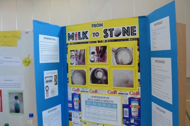 Photo of a documentation board: Perri Furnei, a fifth-grader from Arnn Elementary School, project titled "From Milk to Stone," hypothesizes the Casein protein in milk samples mixed with acid can harden to the point of stone. 