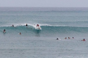 Oahu_North_Shore_surfing_catching_wave-300x200.jpg