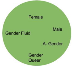 250px-Gendercircle.png