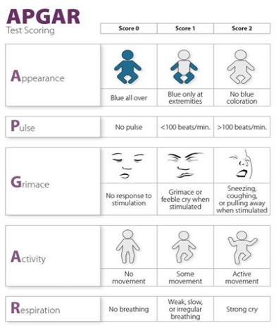 Las pruebas de evaluación del recién nacido salvan vidas