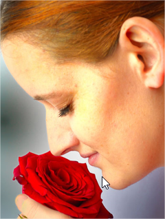 A person smelling a rose