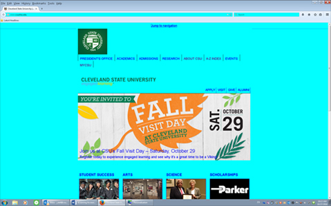 A web page displaying with an intense cyan color to its background. Images appear to be in their original colors, but the text links appear shifted to a brighter and darker blue.