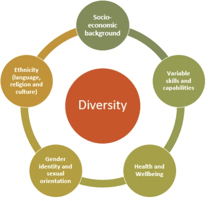 Factors contributing to diversity: Health and well being, socio economic status, gender identity, ethnicity, skills and training