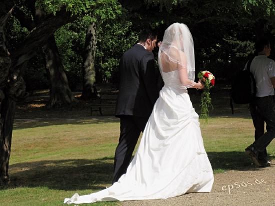 A bride and groom are shown from behind walking in a park setting.