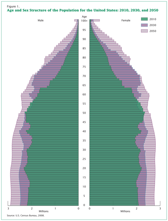 Une pyramide démographique illustrant la répartition par âge aux États-Unis en 2010 et projetant la répartition par âge des États-Unis en 2030 et 2050.