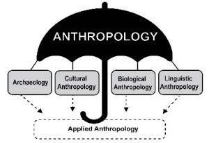 Image of Anthropology and Its Subfields
