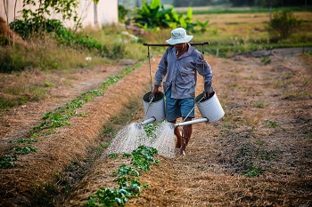 watering-watering-can-man-vietnam-162637.jpg