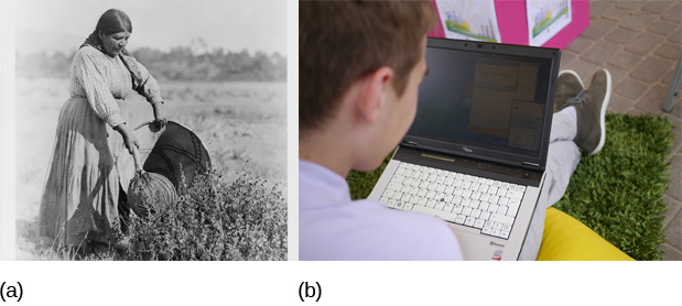Esta figura consiste em duas fotografias lado a lado. A imagem à esquerda é uma fotografia vintage de uma mulher coletando sementes. A foto à direita é de um menino olhando para seu laptop.
