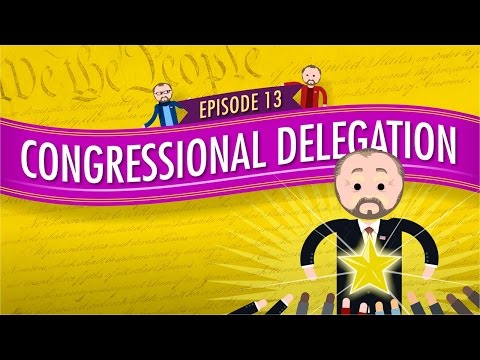 Thumbnail for the embedded element "Congressional Delegation: Crash Course Government and Politics #13"