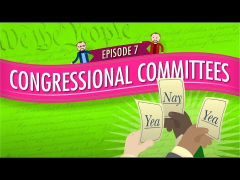 Thumbnail for the embedded element "Congressional Committees: Crash Course Government and Politics #7"