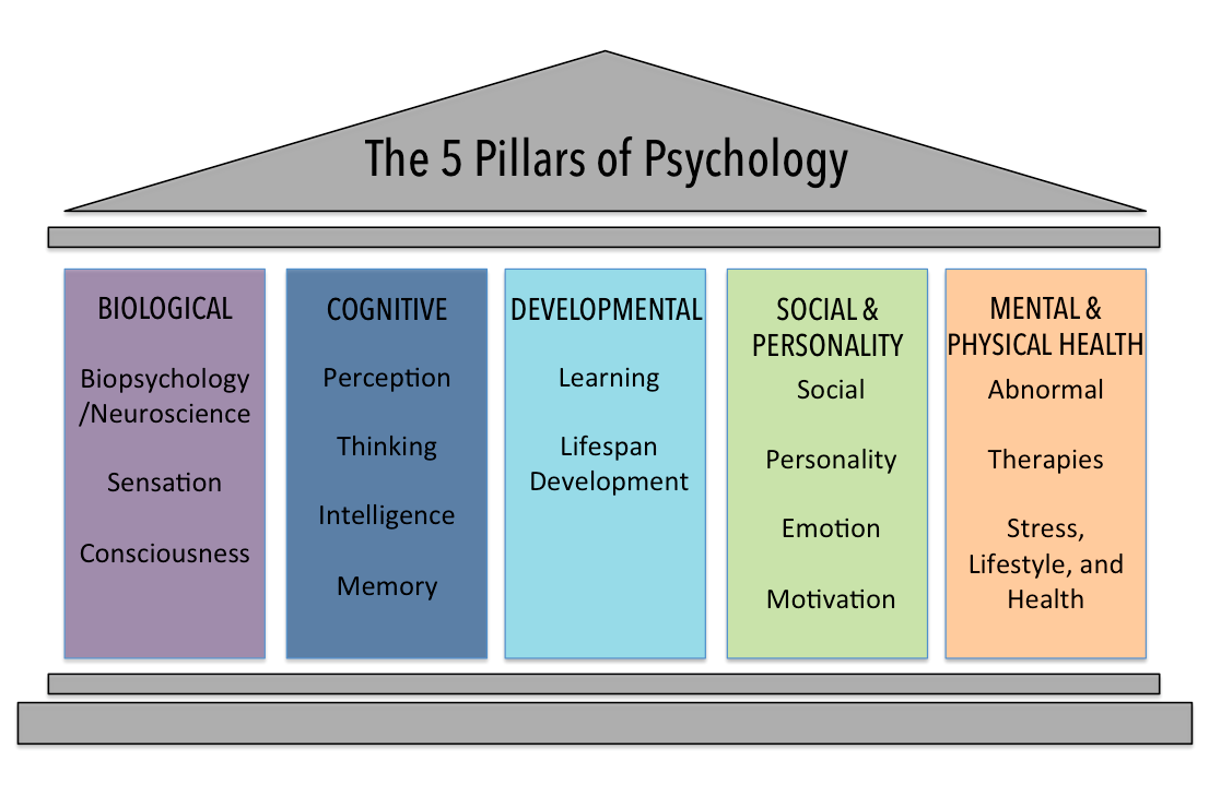 Image of building with 5 pillars of psychology: biological, cognitive, developmental, social and personality, mental and physical health.