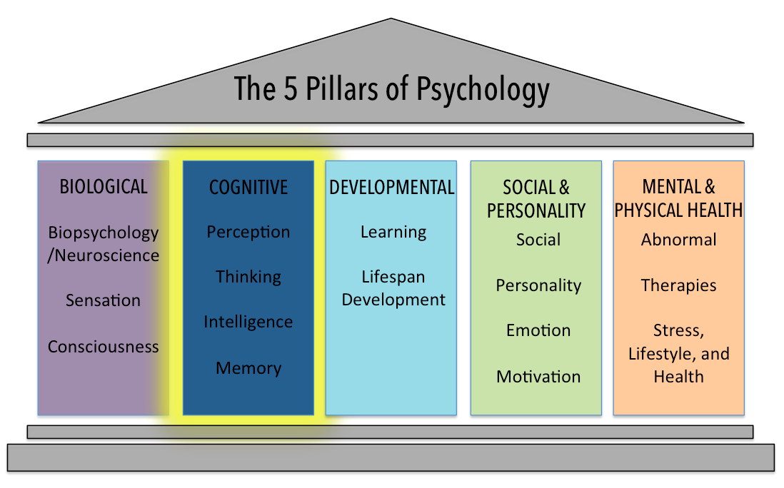 The five pillars of psychology: biological, cognitive, developmental, social and personality, and mental and physical health.