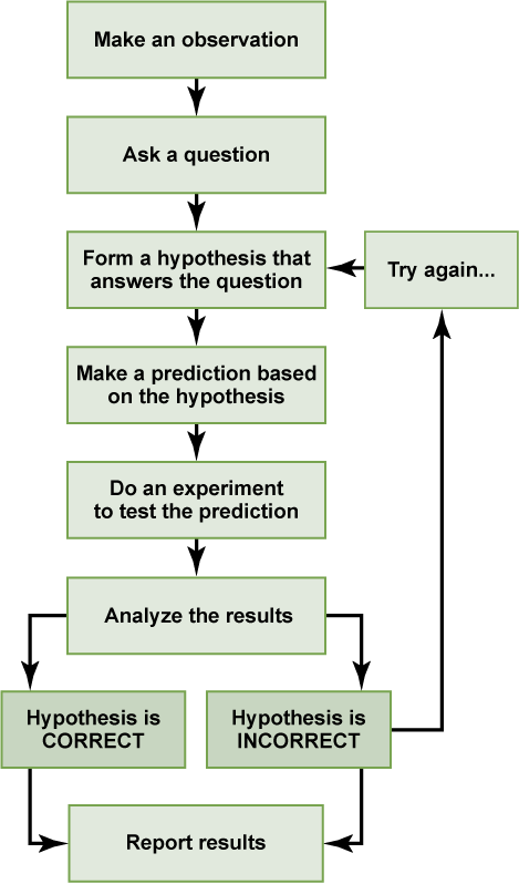 Flowchart of the scientific method with eight stages. It begins with make an observation, then ask a question, form a hypothesis that answers the question, make a prediction based on the hypothesis, do an experiment to test the prediction, analyze the results, prove the hypothesis correct or incorrect, then report the results. If the Hypothesis is incorrect, you return to stage three (form a hypothesis that answers the question) and repeat process from there.