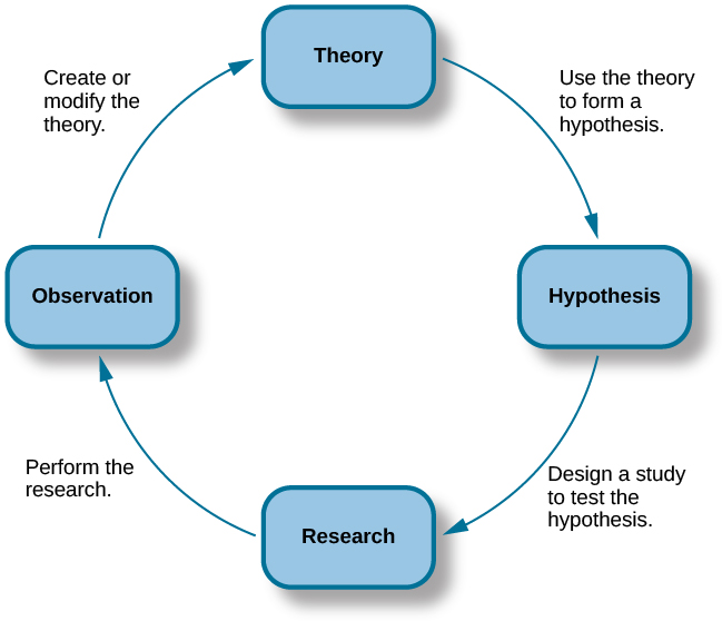Four stage repeating cycle: Theory, Hypothesis, Research, and Observation. You use the theory to form a hypothesis. Then you design a study to test the hypothesis. This leads to the research stage. Then you perform the research which yields an observation. You then use that observation to create or modify the theory. This takes you back to the theory stage, and the process repeats.