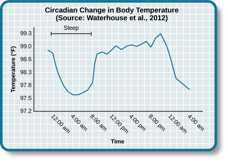 A line graph titled “Circadian Change in Body Temperature (Source: Waterhouse et al., 2012).” The y-axis, which is labeled “temperature (degrees Fahrenheit),” ranges from 97.2 to 99.3. The x-axis, which is labeled “time,” begins at 12:00 A.M. and ends at 4:00 A.M. the following day. The subjects slept from 12:00 A.M. until 8:00 A.M. during which time their average body temperatures dropped from around 98.8 degrees at midnight to 97.6 degrees at 4:00 A.M. and then gradually rose back to nearly the same starting temperature by 8:00 A.M. The average body temperature fluctuated slightly throughout the day with an upward tilt, until the next sleep cycle between about 11pm and 4am where the temperature again dropped.