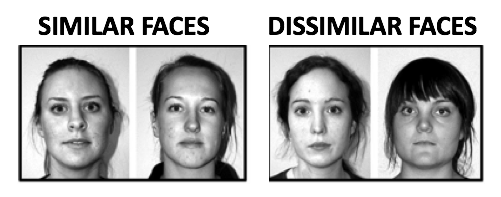 Two sets of images. One shows incredibly similar faces of caucasian women, while the next pair shows dissimilar female faces.