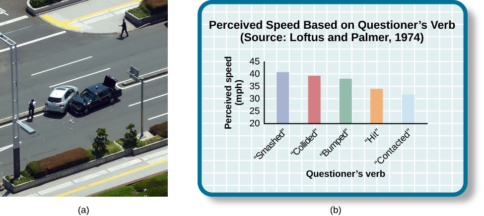 Photograph A shows two cars that have crashed into each other. Photograph B is a bar graph titled “Perceived speed based on questioner’s verb (source: Loftus and Palmer, 1974).” The x-axis is labeled “questioner’s verb, and the y-axis is labeled “perceived speed (mph).” Five bars show data: When the questioner used the word “smashed”, the perceived speed was 41 mph, when the word “collided” was used the perceived speed was 39 mph, “bumped” was perceived at about 37 mph, “hit” at about 34 mph, and “contacted” at about 32 mph.