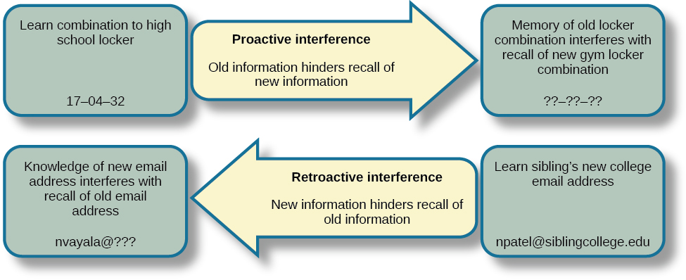 A diagram shows two types of interference. Proactice interference: when you’re trying to “learn combination to high school locker, 17–04–32” Proactive interference (meaning old information hinders the recall of new information) may occur because memory of your old locker combination interferes with recalling the new gym locker combination. Retroactive interference: when you’ve learned your sibling’s new college email address which is npatel@siblingcollege.edu, retroactive interference (new information hinders recall of old information) you may have trouble recalling your sibling’s old email address.