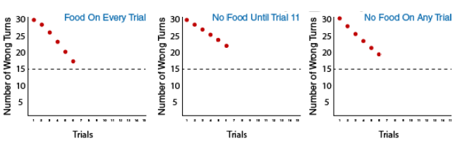 3 graphs depicting the three groups in Tolman's experiment: Group 1: food on every trial, Group 2: no food until trial 11, and Group 3: no food on any trial. There is a dotted horizontal line on each graph at number of wrong turns equal to 15. Group one shows the number of wrong turns decreasing with each additional trial down to 16 wrong turns on the sixth trial. Group two shows the number of wrong turns decreasing with each additional trial down to 21 wrong turns on the sixth trial. Group three shows the number of wrong turns decreasing with each additional trial down to 18 wrong turns by the sixth trial.