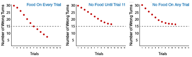 3 graphs depicting the three groups in Tolman's experiment: Group 1: food on every trial, Group 2: no food until trial 11, and Group 3: no food on any trial. This shows that group 1 continues to make fewer wrong turns with each additional trial, making only 8 wrong turns on trial 11. Group 2 makes 16 wrong turns on trial 11 and group 3 makes 16 wrong turns.
