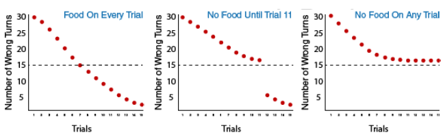 3 graphs depicting the three groups in Tolman's experiment: Group 1: food on every trial, Group 2: no food until trial 11, and Group 3: no food on any trial. Group one shows the number of wrong turns decreasing down to 16 by the sixth trial. Group two gets slightly better, with about 21 wrong turns at the sixth trial, and Group 3 makes around 18 wrong turns at the sixth trial. By trial 15, group A and B improve to almost no wrong turns, while group 3 levels off at 16 wrong turns on trial 12, continuing to make 16 wrong turns in every additional trial.