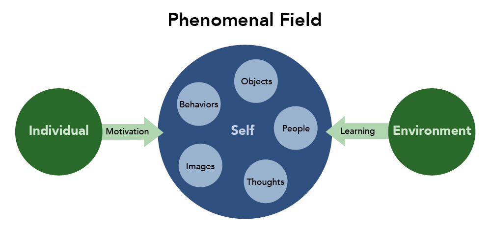 The Phenomenal Field. The self is at the center of the phenomenal field with the following items surrounding the self: objects, people, thoughts, images and behaviors. Individual and Environment are on the outside of the phenomenal field. The influence from an individual is motivation and the influence from the environment is learning.