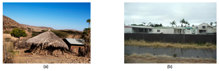 Figure (a) shows a grass hut. Figure (b) is of a mobile home park.