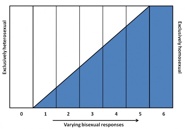A bar graph with 0 to 6 on the X-axis labeled 'Varying bisexual responses'. The left side of the graph is labeled 'Exclusively heterosexual', and the right is labeled 'Exclusively homosexual'. A blue shaded area shows an increase in bisexual responses towards the 'Exclusively homosexual' side.