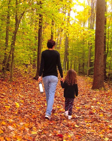 An adult and a child are seen from behind walking hand in hand in a forest.