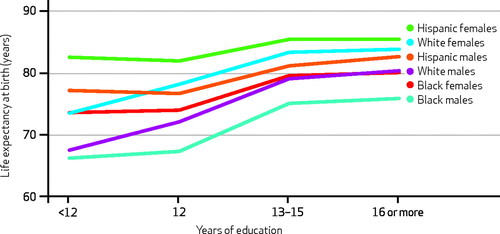 Life expectancy at birth on the y axis and years of education on the x-axis. The graph shows that with years of education, life expectancy among hispanic, white, and black females and males also rises, with a big jump between those who have completed either 12 years of education or 13-15 years.