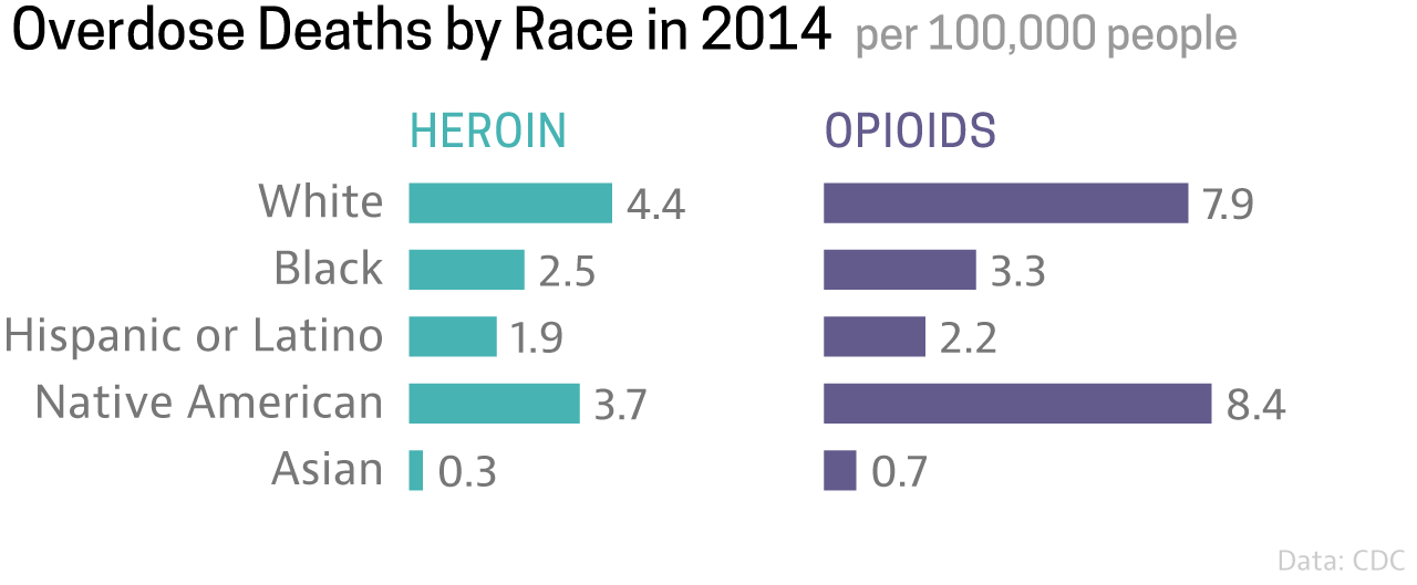 Graph titled, "Overdose Deaths by Race in 2014 per 100,000 people". 4.4 whites died of heroin overdoses, while 7.9 from opioids. For blacks, 2.5 from heroin and 3.3 from opioids. For Latinos, 1.9 from heroin and 2.2 from opioids. For Native Americans, 3.7 from heroin and 8.4 from opioids. For Asians, 0.3 from heroin and 0.7 from opioids.