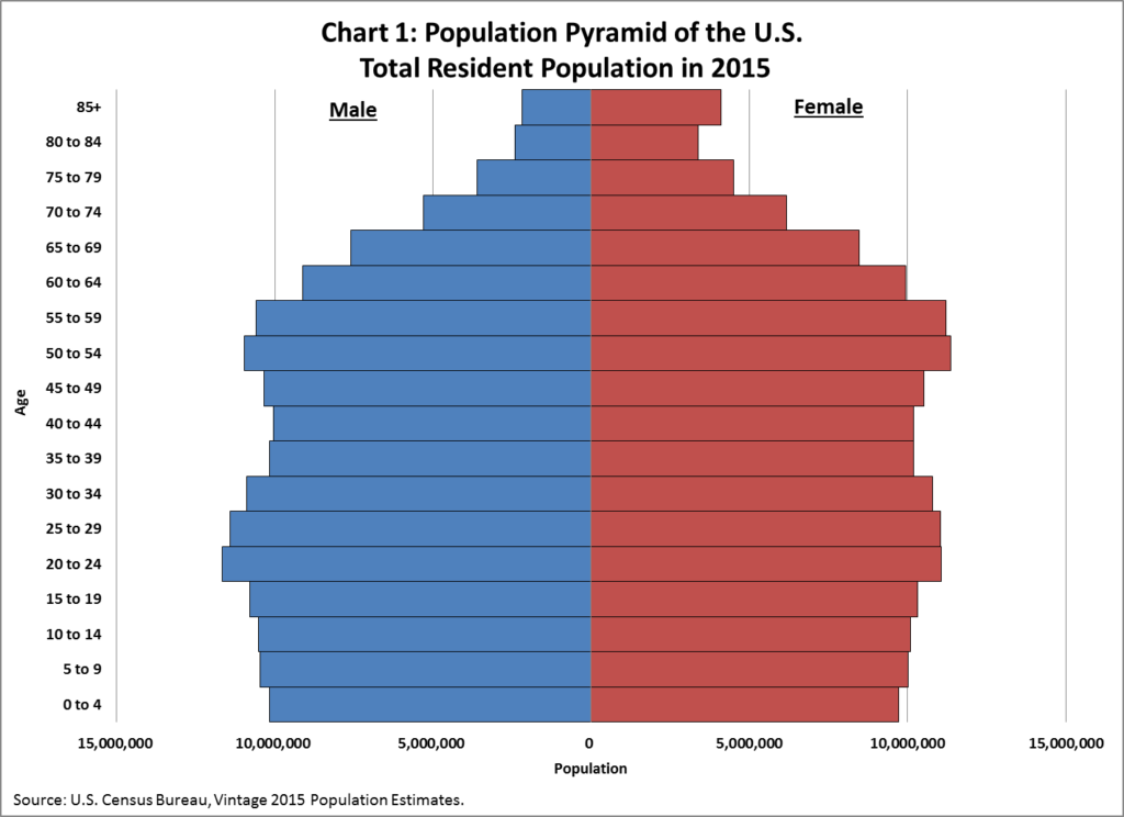 Population pyramid showing U.S. total resident population in 2015. The population is from 0 to 15 million is labeled on the x-axis, and the age groups from 0-4 to 85+ are labeled on the y-axis. The graph is close to a column with a population of about 10 million for both male and female until age 65, when the top tapers showing a decrease in population with older age.
