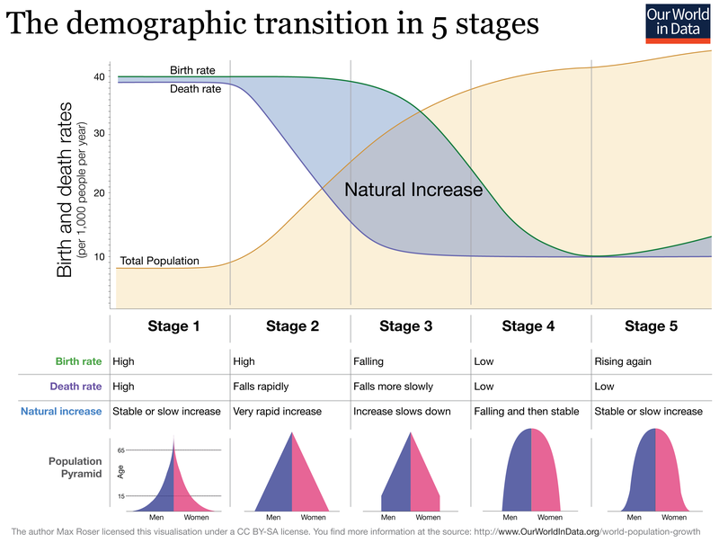 The demographic transition in five stages. The graph shows how stage 1 has high birth and death rates, then in stage two the death rate falls rapidly while birth rates rise, causing a natural increase. This continues into Stage 3, then in stage 4, there are low birth rates and low death rates, and in stage 5 birth rates begin to slowly increase again.
