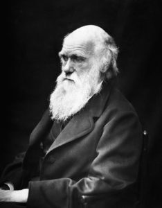 Portrait of Charles Darwin.