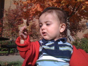 Baby grabbing a leaf between his thumb and index finger.