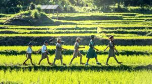 A group of scouts walking across a field in a single-file line