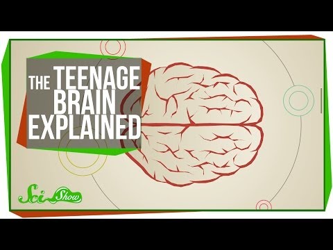 Thumbnail for the embedded element "The Teenage Brain Explained"
